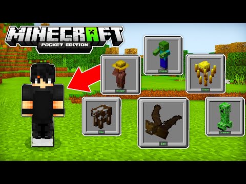 Video: Minecraft-da Bir Mod Necə Düzgün Bir şəkildə Atılır