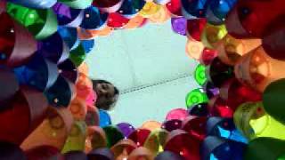 inside a speed stack cylinder