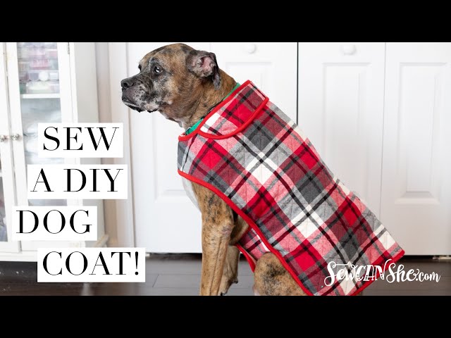 Sew a DIY Dog Coat - how to draft the pattern! - YouTube sew-a-diy-dog-coat-how-to-draft-the-pattern-youtube