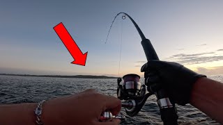 Shore Jigging for TUNA! Rock Fishing Australia