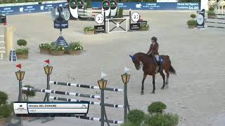 Haily - Lgct Roma Gp