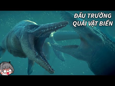 Video Đây Là ĐẤU TRƯỜNG QUÁI VẬT BIỂN | GNDTT - youtube