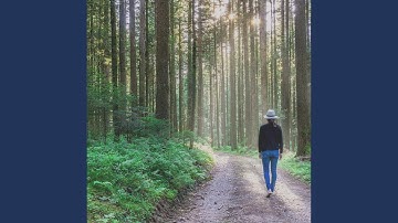 Pulsating Ambience for Mind and Wellness