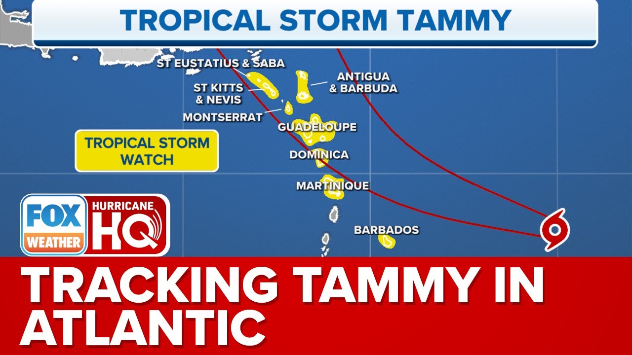Tropical Storm Watches Issued As Tammy Approaches Eastern Caribbean ...