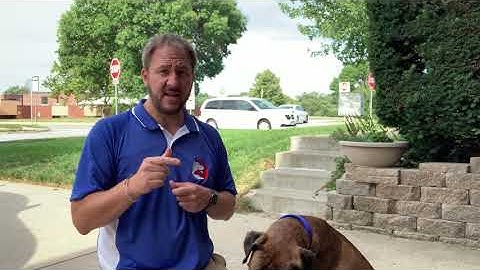 Helping Stella Get Over Her Reaction to Sounds with Counterconditioning