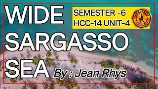 WIDE SARGASSO SEA : JEAN RHYS SEM-6 HCC-14 UNIT-4 #widesargassosea@LearnEnglishEasilyAKPathak