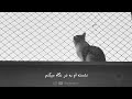 نشسته ام به در نگاه میکنم