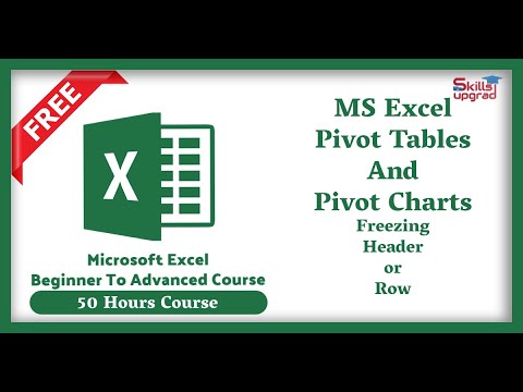 MS Excel Beginners To Advanced Course | Freezing Header or Row | Excel Tables And Pivot Charts |