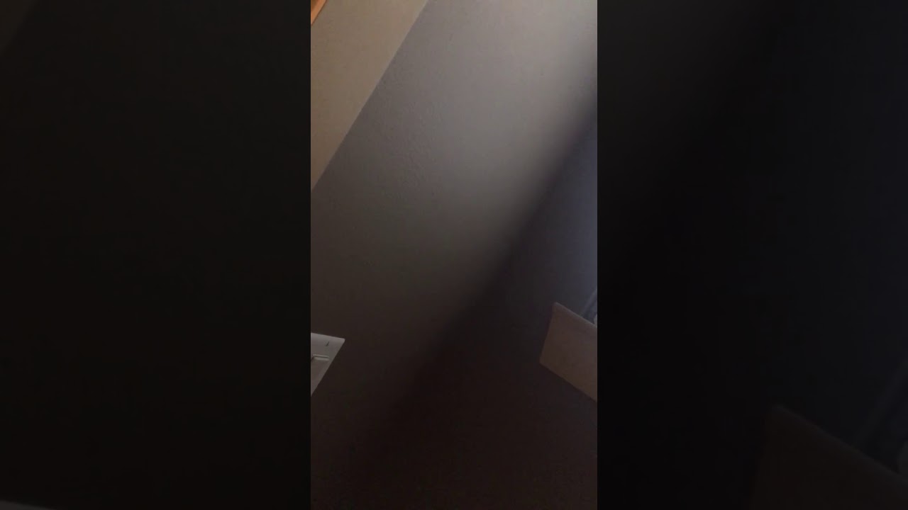 Vibrating hum in walls after flushing toilet YouTube