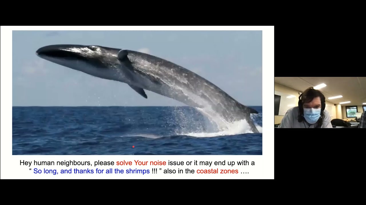 8 Ear & Sound Scientific Workshop - Nautilus Project