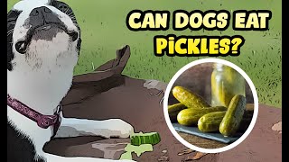 Can Dogs Eat Pickles?