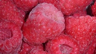 Frozen raspberries sorted by Spray optical sorter | RAYTEC VISION SpA