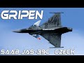 Gripen Jas -39C  Czech Air Force Anniversary Painting The Best Gripen Display 4K UHD