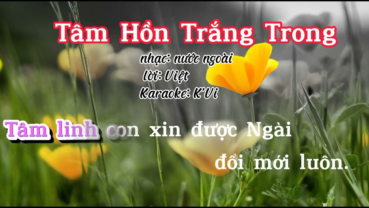 Tạo Nên Trong Con Trái Tim_ (  Tâm Hồn Trắng Trong )_ Karaoke _Beat chuẩn