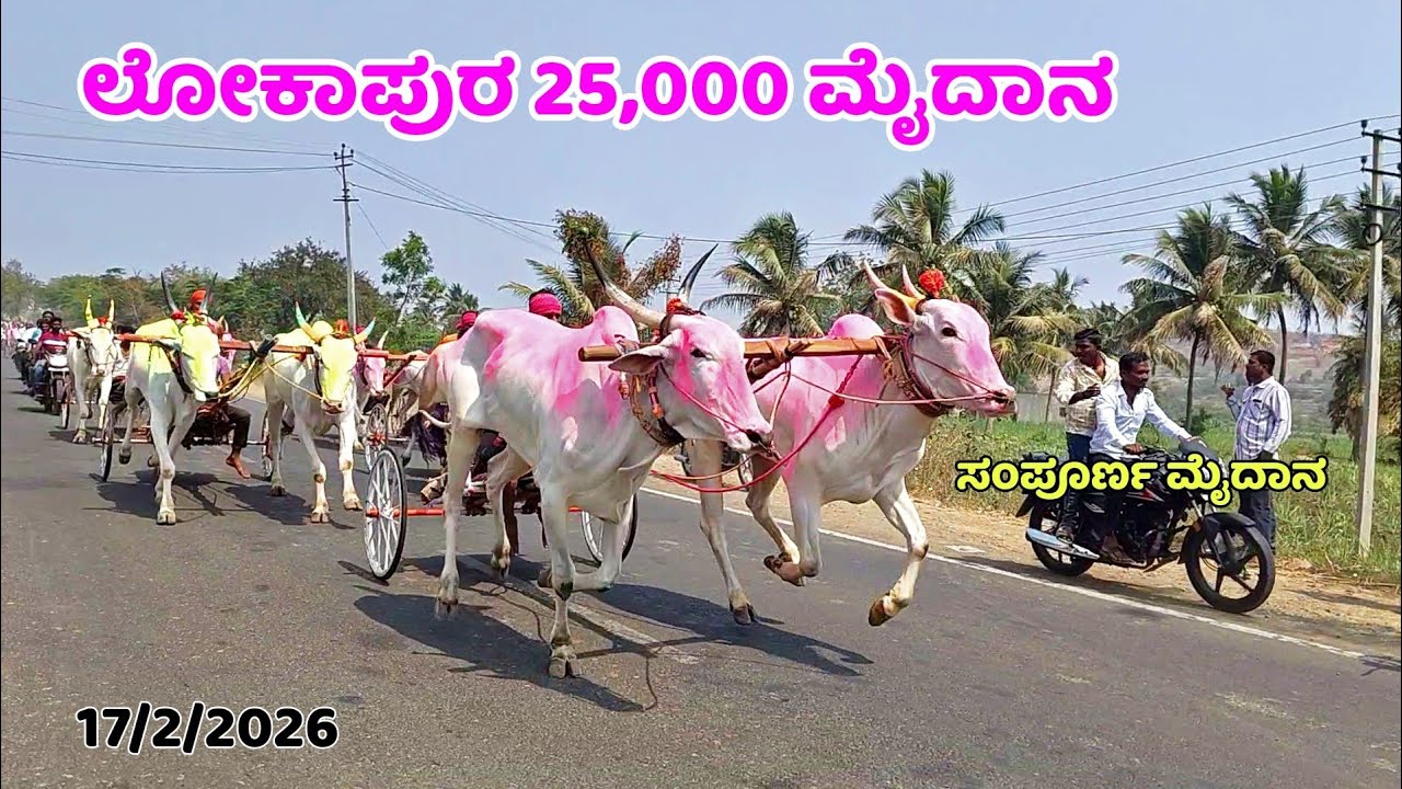 ಲೋಕಾಪುರ 25,000 ಮೈದಾನ 🥇ಲೋಕಾಪುರ ಸಾವಕಾರ 🥈ಗೈಬು ಅಣ್ಣಾ 🥉ಮಚ್ಚು ಅಣ್ಣಾ 👑ರುದ್ರಪ್ಪ ಮೂಲಂಗಿ #automobile 
