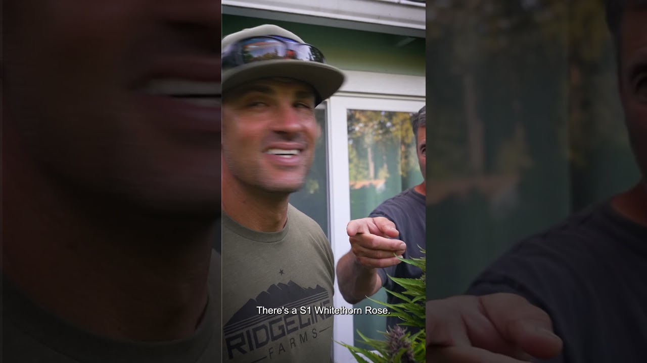 Johnny Casali and Jason Gellman walk the gardens at Huckleberry Hill Farm Part 01