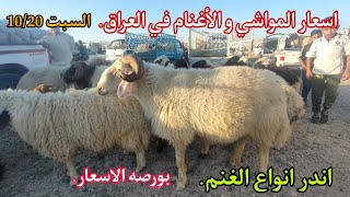 اسعار المواشي و الأغنام في العراق.اليوم من سوق مواشي قضاء التاجي.21_10_2023.