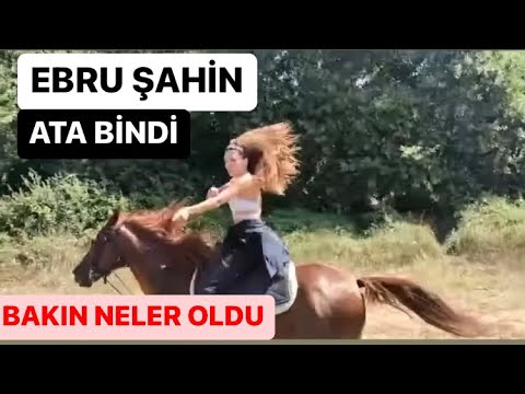 Ebru Şahin bakın ata nasıl bindi neler yaşandı