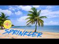 🌴 Tatsuro Yamashita - Sprinkler 🌊