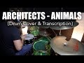 Architects  animals  drum cover  transcription by kevo gillespie