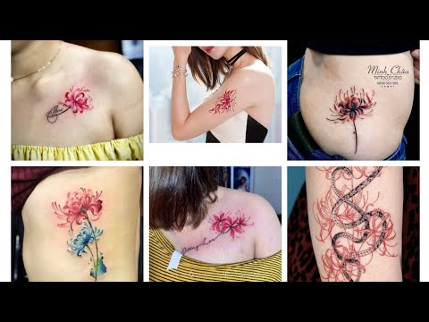 100+ mẫu hình xăm hoa bỉ ngạn đẹp nhất