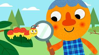 Crawl Like A Caterpillar 🐛 | Noodle & Pals | Songs For Children
