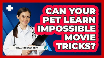 Can Your Pet Learn Impossible Movie Tricks? - PetGuide360.com