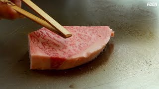 $144 Steak Lunch in Tokyo  Teppanyaki in Japan