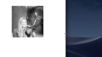 Adobe Muse: Image Grid with hover text