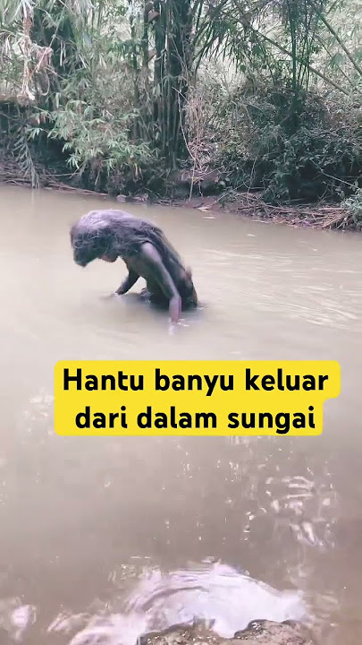 The ghost of Banyu, the guardian of the river dam #wchpetualang #subscribe #viralshorts