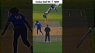 Yorker Ball का ❗️बड़ा रहस्य [ Don't Miss End ] #shorts #cricket screenshot 5