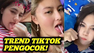 Viral Kompilasi Tiktok Pengocok Handal