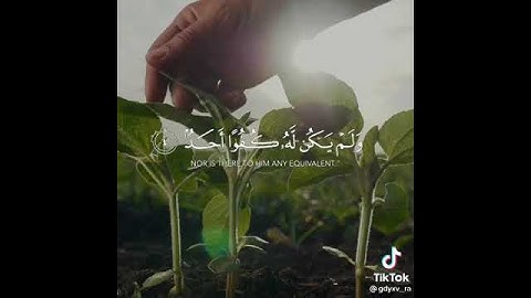 أجمل💐 تلاوة سورة الإخلاص 🌻الشيخ ماهر المعيقلي  🌹حالات واتس اب دينية
