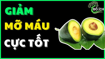 Giảm ngay MỠ MÁU bằng các loại thực phẩm thần dược này-  Kênh Sức Khoẻ Bổ Ích