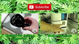 Why I Switched From HPS to LED!