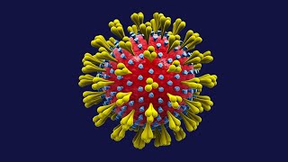 (Live Archive) Combatting Coronavirus In Our Community—What Works, Why Now