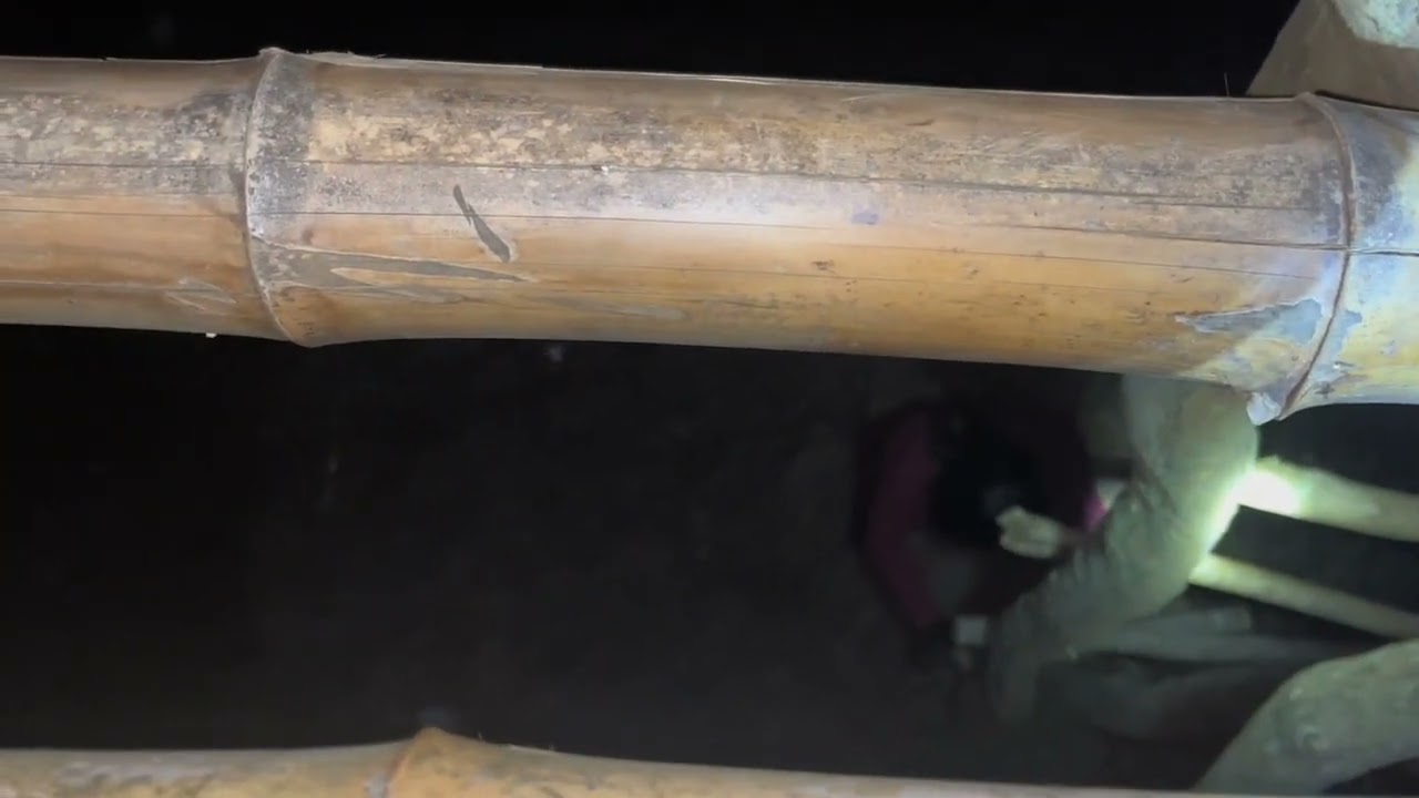 ตัวประราสอะไรนะวิ่งขึ้นห้างเกือบไม่ทันเกือบโดนมันจับไปกินซะแล้ว ￼!!!😱