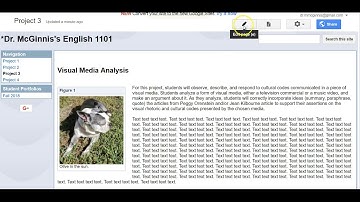 Adding Images with Captions (Classic Google Sites)