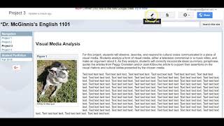 Adding Images with Captions (Classic Google Sites)