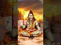 🥀🌿🙏om 💐💐tryabnkam🌺🌺 #bhakti #sorts #shortvideo #yt #ytshorts #trending 🙏🙏🙏🌿💫🌸🌺