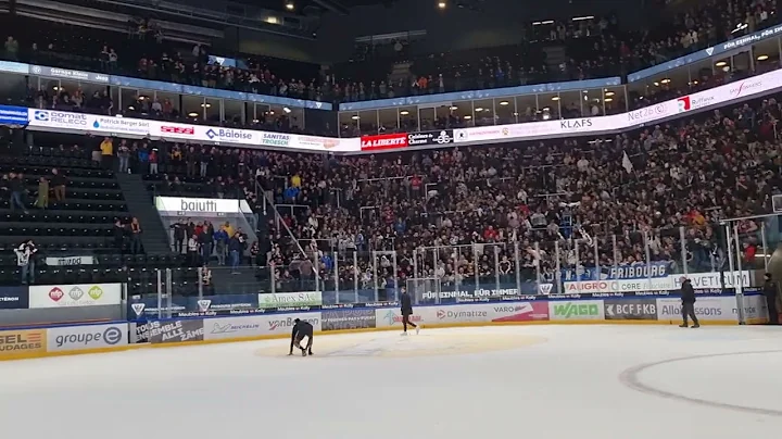 Dave Sutter rappel par les Fans
