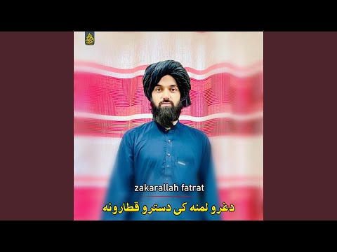 د زړګي سر دستر ګو تور