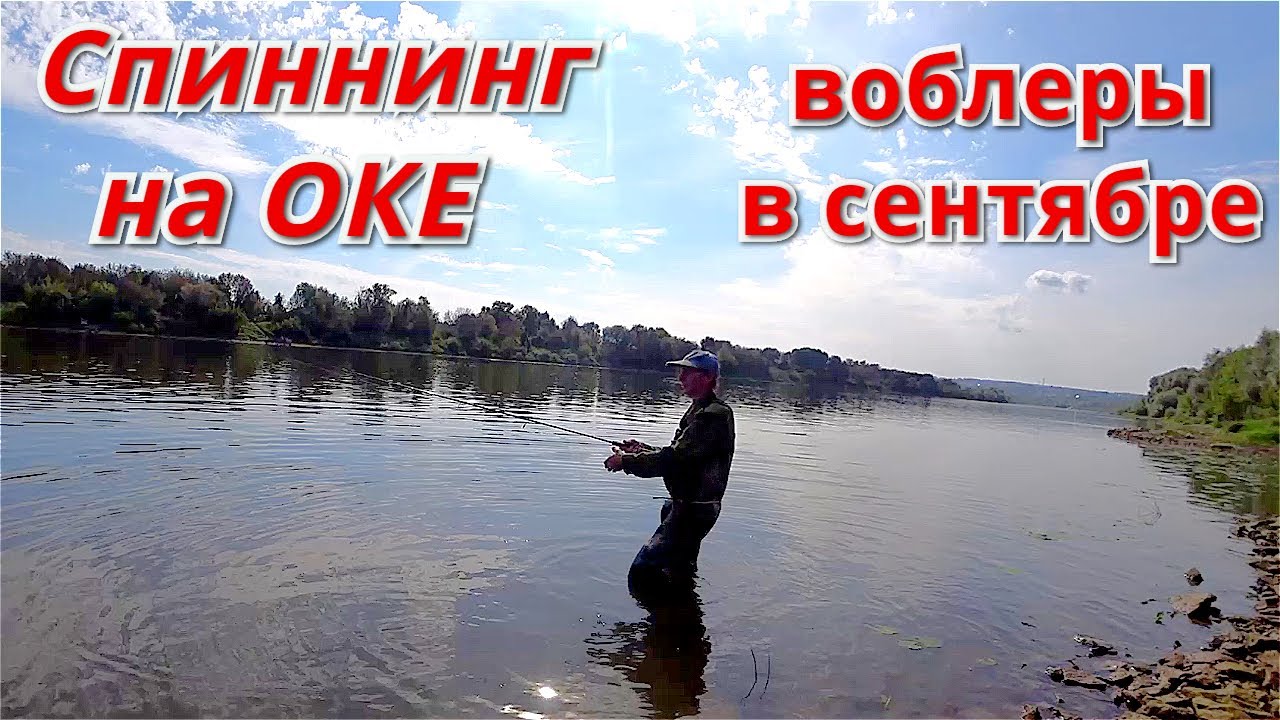Рыбалка на оке форум