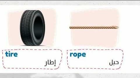 Connect plus 5 | unit 4 lesson 2