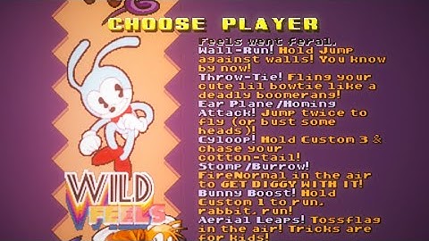 Wild Feels Returns! - Sonic Robo Blast 2