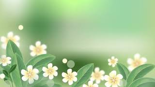 Background hoa lá đẹp, nền hoa lá động - YouTube