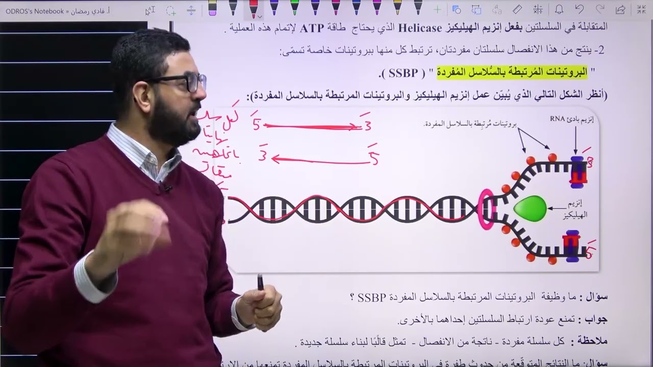 تضاعف DNA