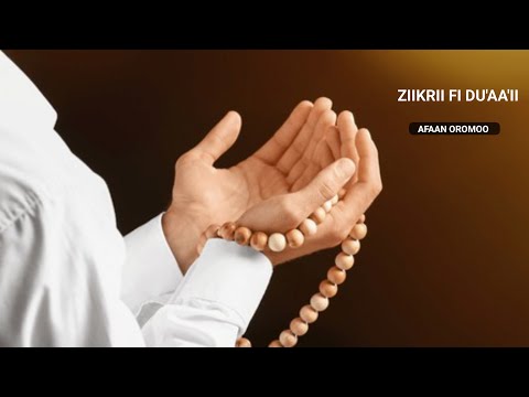 Sheikh Juneydi Ammee Du Aaii Ajaa Ibaa Afaan Oromoo Official Video 2025