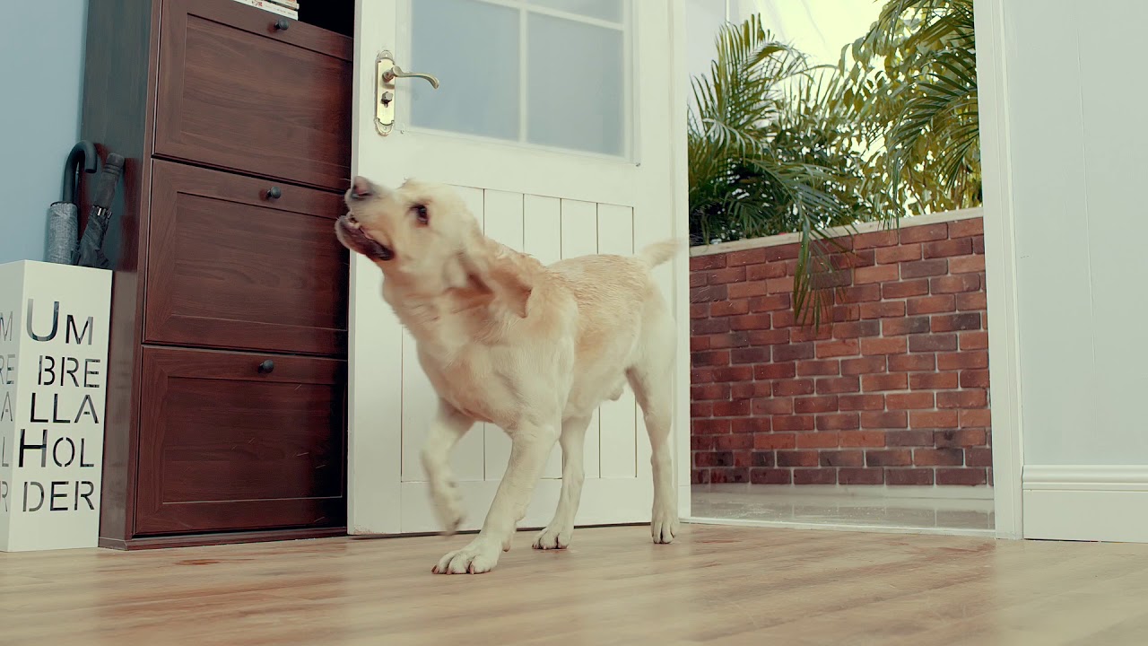 FirmFit® Wood - The Strongest Water Resistant REAL Wood Flooring