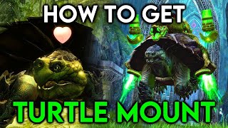 How to get your Turtle Mount in End of Dragons - Guide (Guild Wars 2)